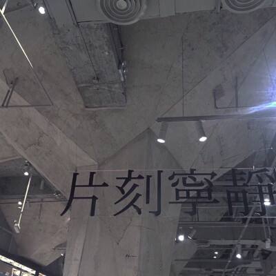 北京北京11大展区可赏月季，今年主题花俗称“开花机器”
